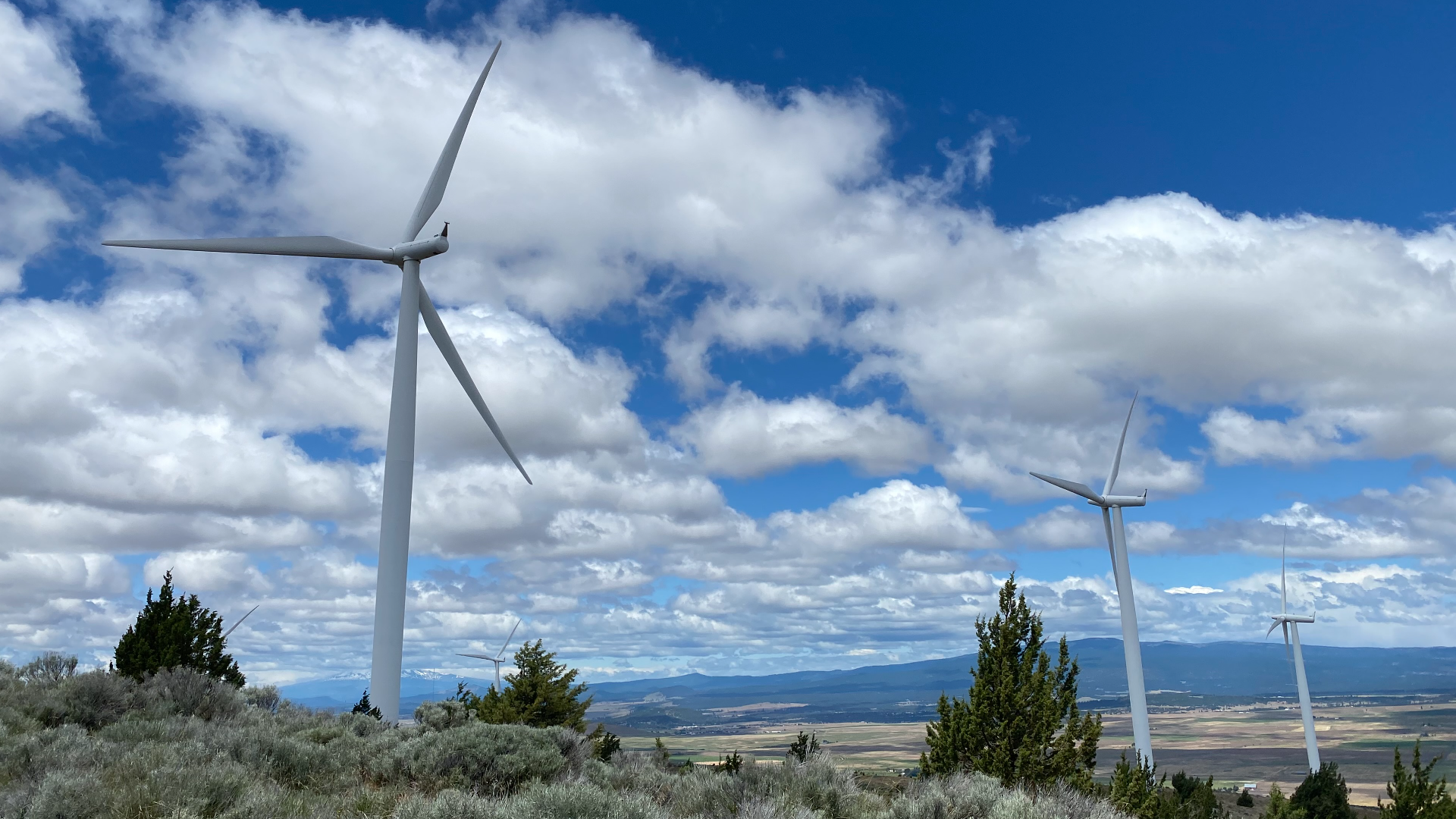 15 MW Offshore Wind Turbines vs. National Security: What You Need to Know