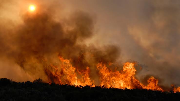 The Era of "Fire Clouds": How El Niño is Fueling Mega-Fires in France, Spain, and Beyond