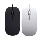 Black and white computer mice on a white background