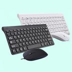 Black and white keyboards with mice on a light blue background